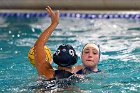 WWPolo @ CC  Wheaton College Women’s Water Polo at Connecticut College. - Photo By: KEITH NORDSTROM : Wheaton, water polo